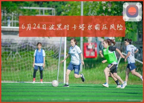 6月24日波黑对卡塔尔前压风险