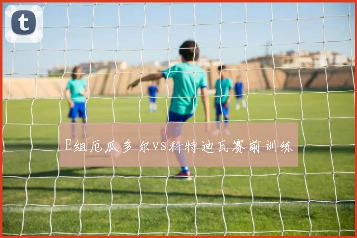 E组厄瓜多尔vs科特迪瓦赛前训练