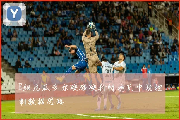 E组厄瓜多尔硬碰硬科特迪瓦中场控制数据思路