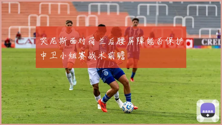 突尼斯面对荷兰后腰屏障能否保护中卫小组赛战术前瞻