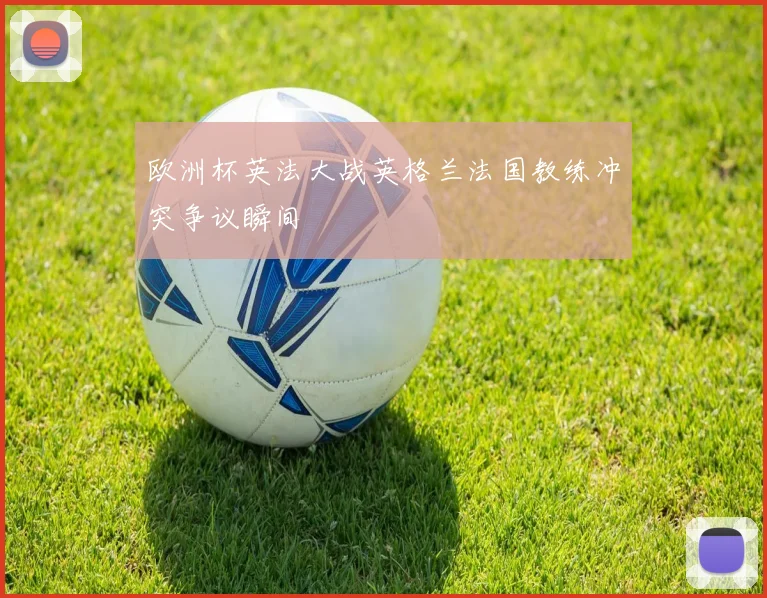 欧洲杯英法大战英格兰法国教练冲突争议瞬间