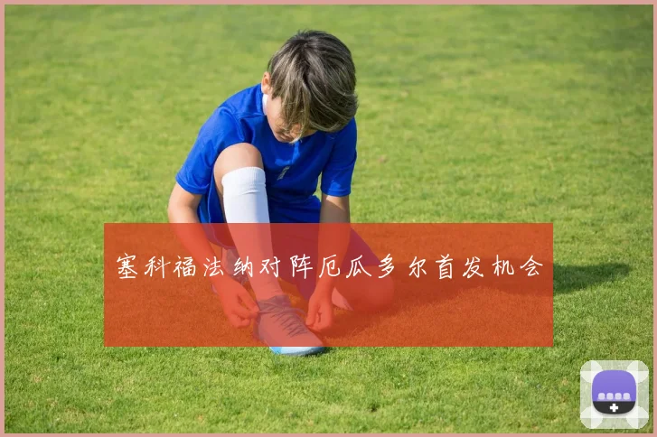 塞科福法纳对阵厄瓜多尔首发机会
