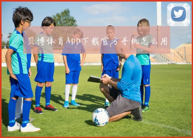 贝博体育App下载官方手机怎么用