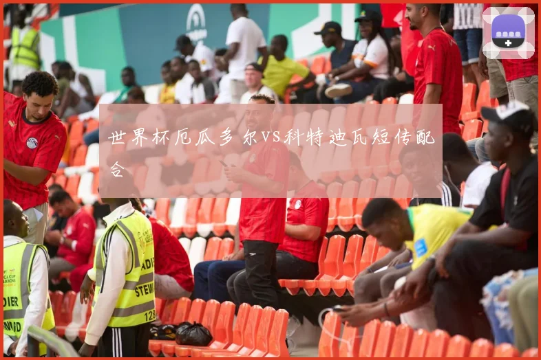 世界杯厄瓜多尔vs科特迪瓦短传配合