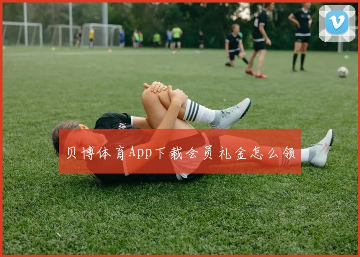贝博体育App下载会员礼金怎么领
