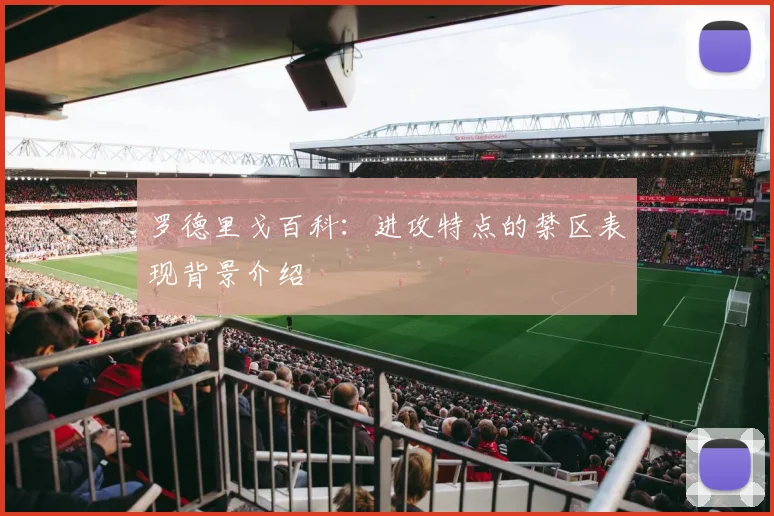 罗德里戈百科:进攻特点的禁区表现背景介绍